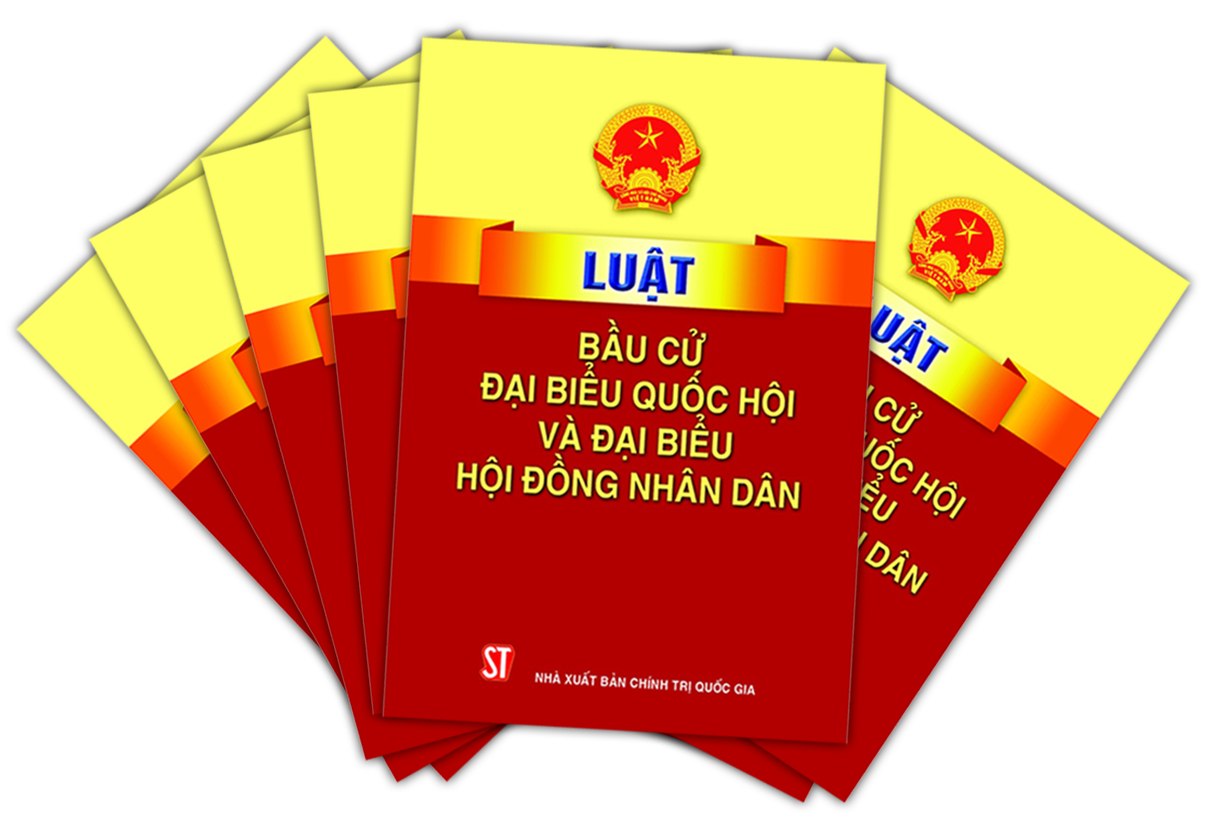 Các trường hợp nào bị xóa tên trong danh sách chính thức những người ứng cử đại biểu Quốc hội, HĐND?
