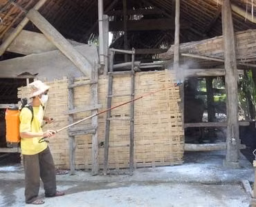 Chủ động phun thuốc phòng, chống dịch bệnh cho gia súc Ảnh: CTV