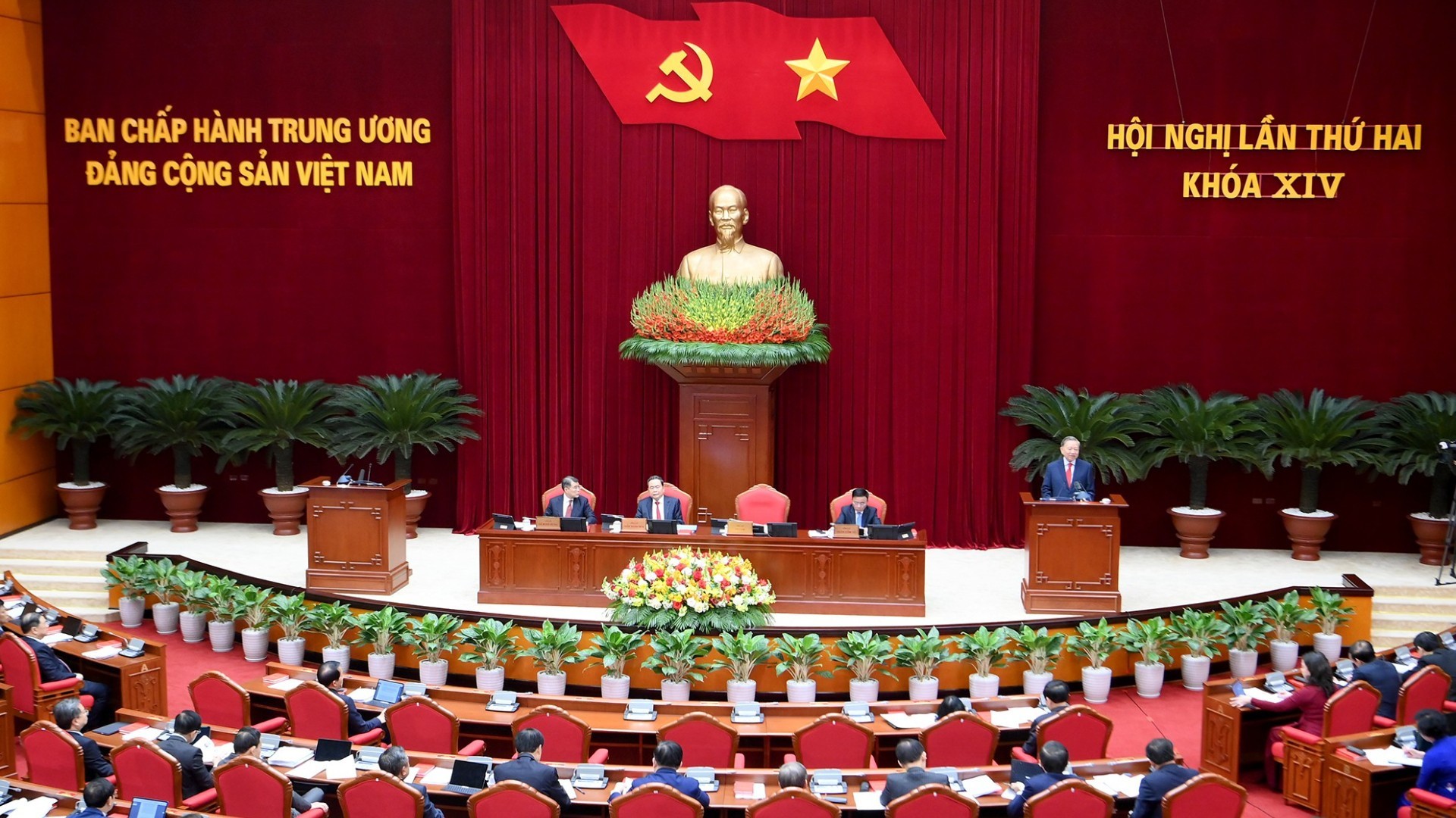 anh-1-bnd-4146-7258.jpg