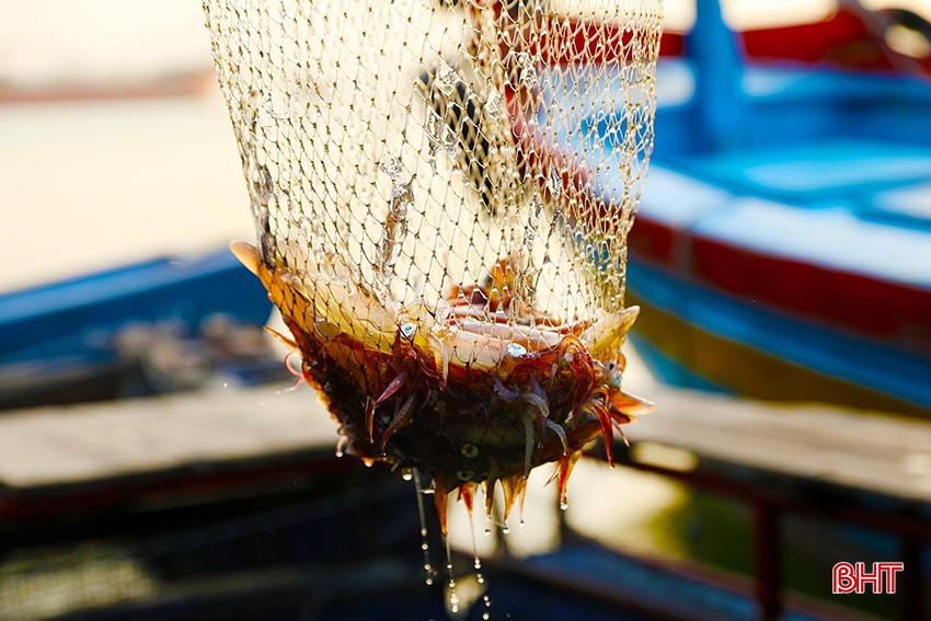 bqbht_br_kh-4278.jpg