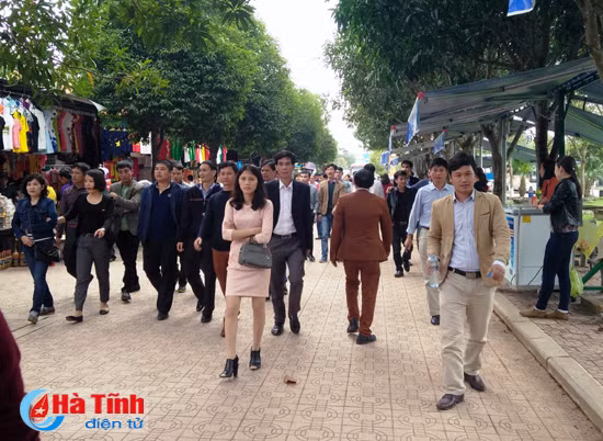 dau xuan tham que bac
