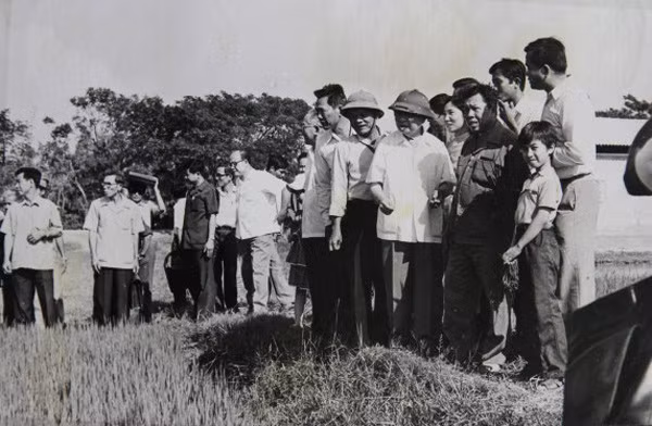 hinh anh tu lieu ve dong chi truong chinh tong bi thu cua doi moi