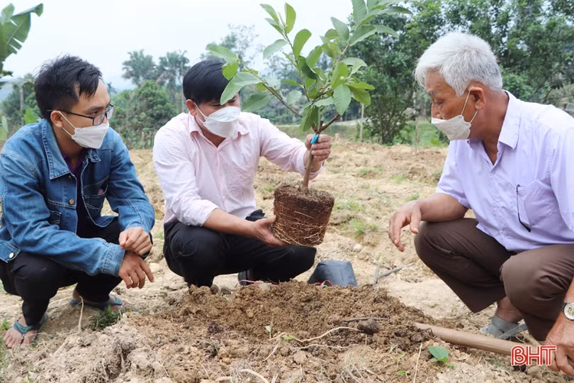 Vũ Quang xây dựng “Nông nghiệp an toàn, nông dân thông thái, nông thôn yên bình”