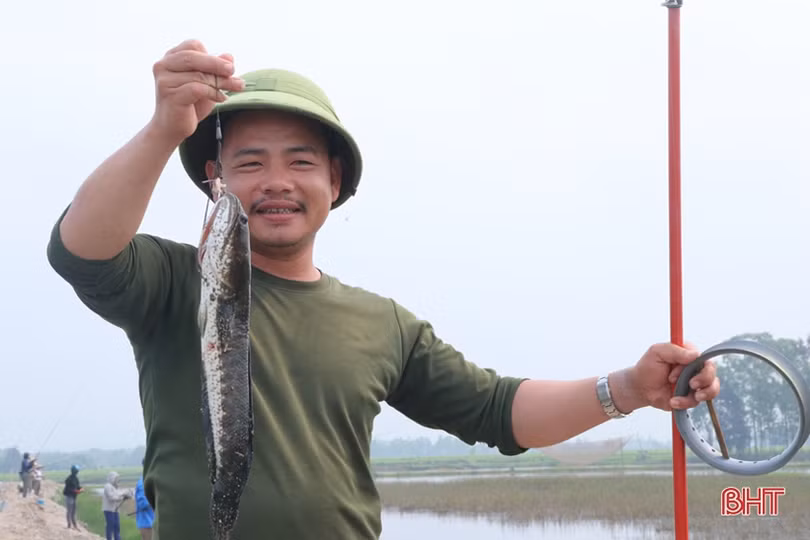 Gần 40 cần thủ Hà Tĩnh so tài câu cá lóc bằng bát cuốn tay 