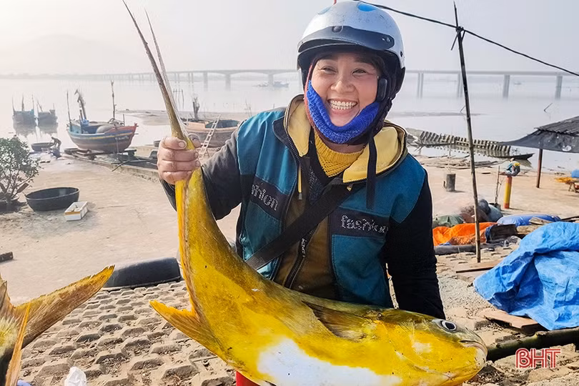 Ngư dân Hà Tĩnh 2 lần “trúng đậm” cá vàng dương, thu gần 1,2 tỷ đồng