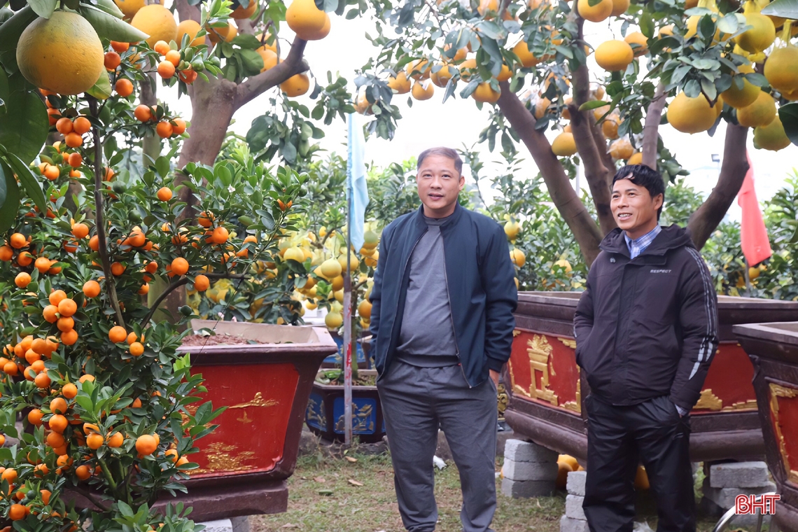 Nhộn nhịp “phố hoa” Hà Tĩnh