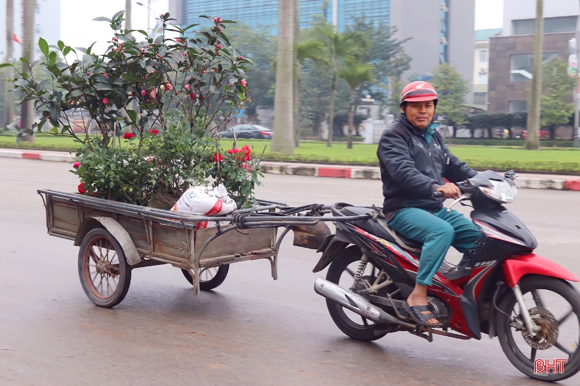 Nhộn nhịp “phố hoa” Hà Tĩnh