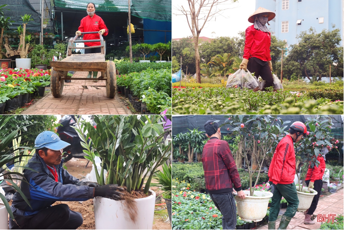 Nhộn nhịp “phố hoa” Hà Tĩnh