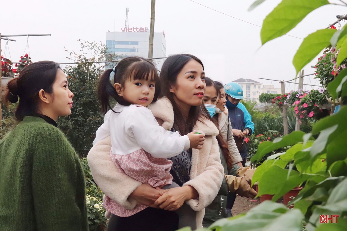 Nhộn nhịp “phố hoa” Hà Tĩnh