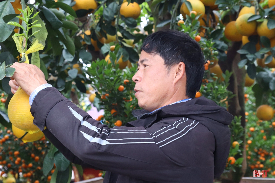 Nhộn nhịp “phố hoa” Hà Tĩnh