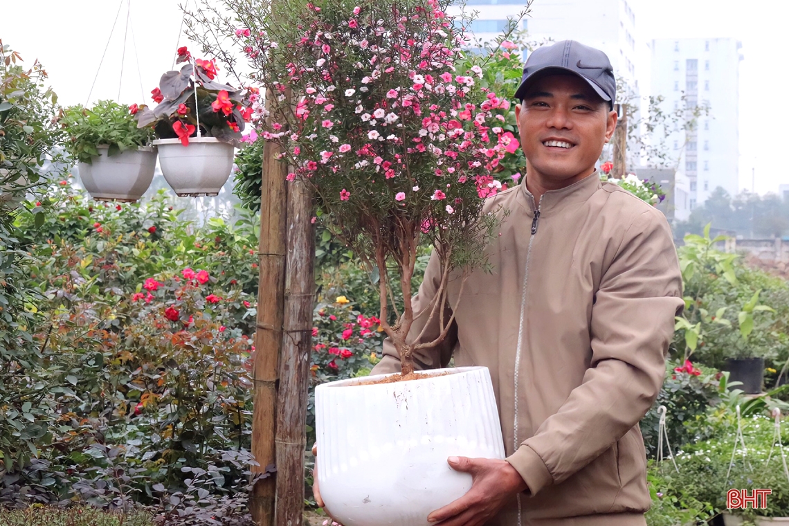 Nhộn nhịp “phố hoa” Hà Tĩnh