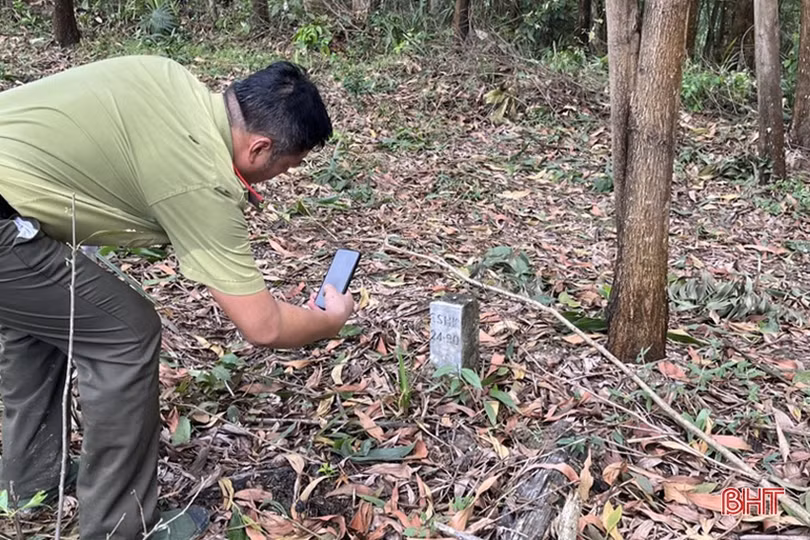 Hạt Kiểm lâm Vũ Quang nói gì khi trên địa bàn liên tiếp xảy ra phá rừng?