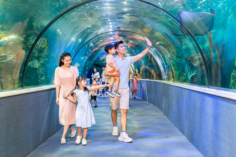 VinWonders tưng bừng khởi động lễ hội hè Wonder Summer 2023