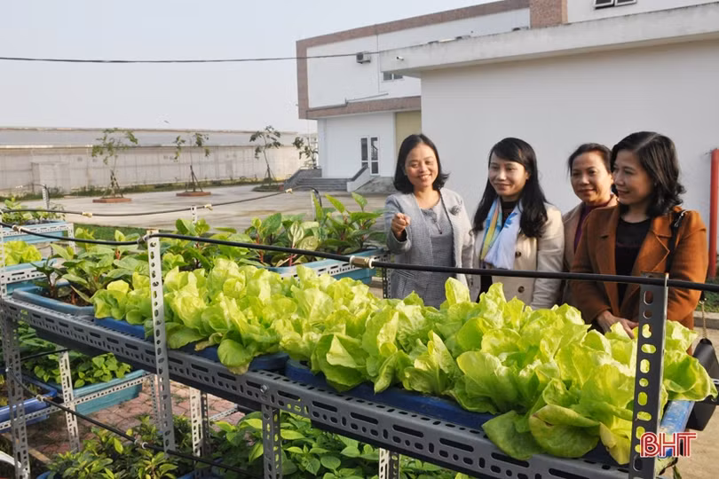 Biến phế phẩm nông nghiệp làm giá thể hữu cơ trồng rau sạch, hoa đẹp