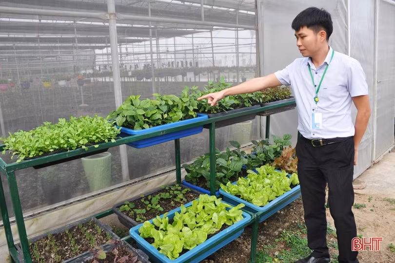 Biến phế phẩm nông nghiệp làm giá thể hữu cơ trồng rau sạch, hoa đẹp
