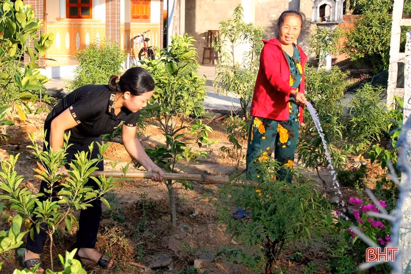 Người dân Kỳ Anh giữ màu xanh cho các tuyến đường trong nắng hạn