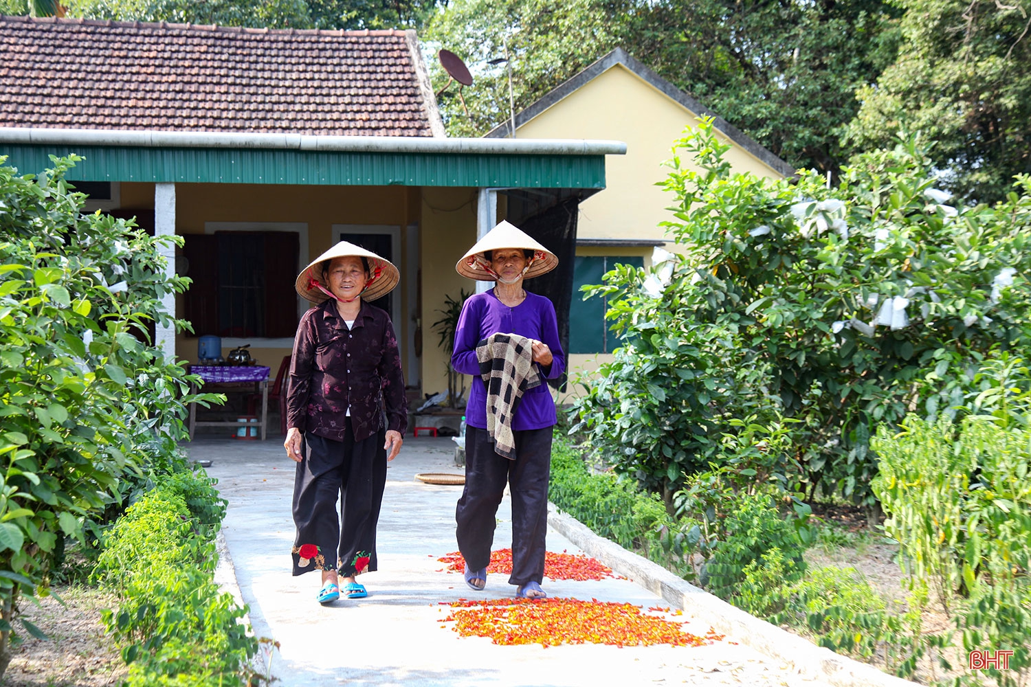 Hai chị em dâu “cưu mang” chim trời suốt hàng chục năm