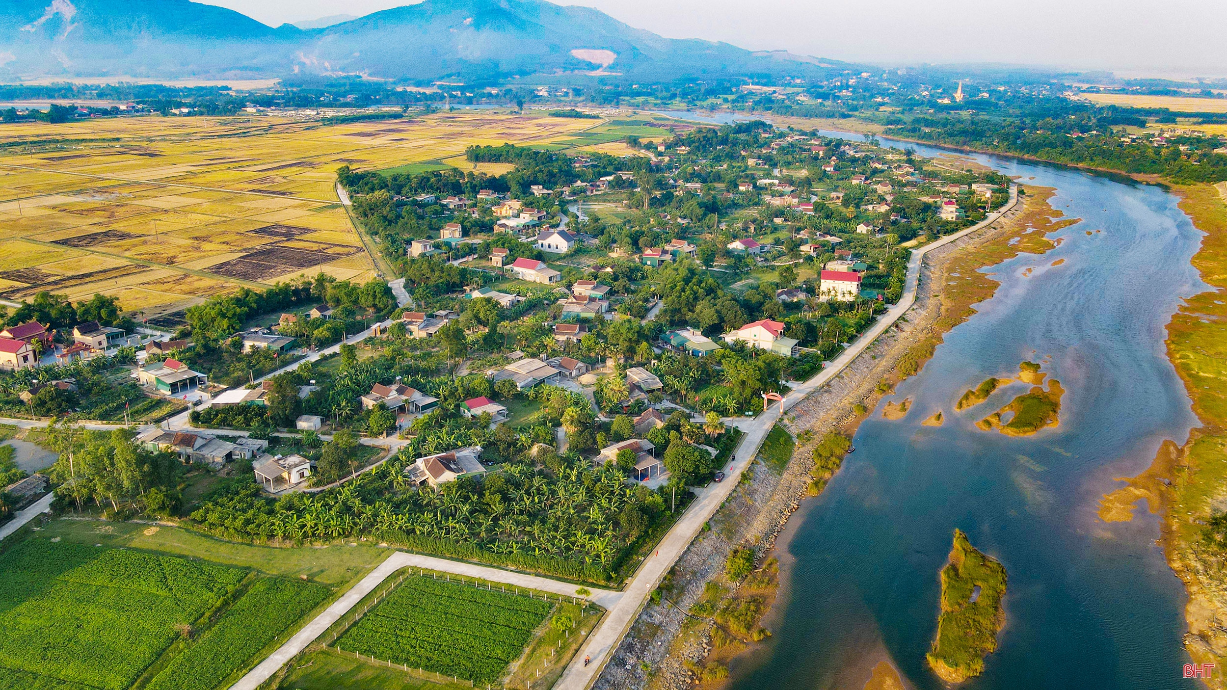 Hai chị em dâu “cưu mang” chim trời suốt hàng chục năm