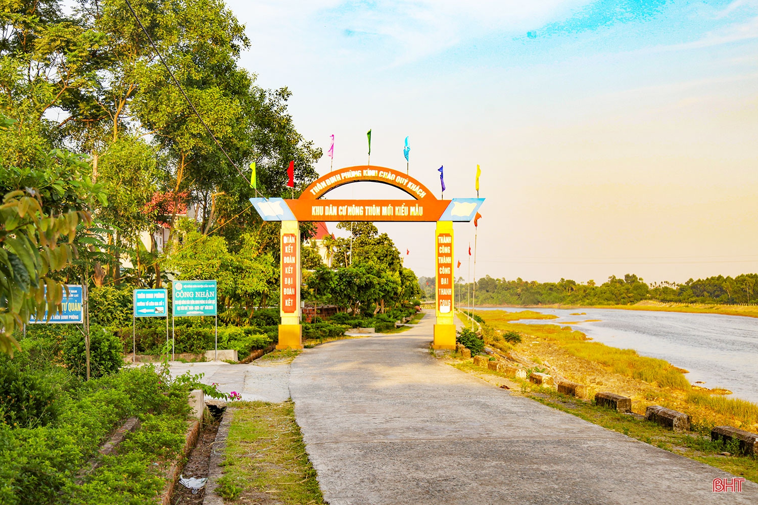 Hai chị em dâu “cưu mang” chim trời suốt hàng chục năm