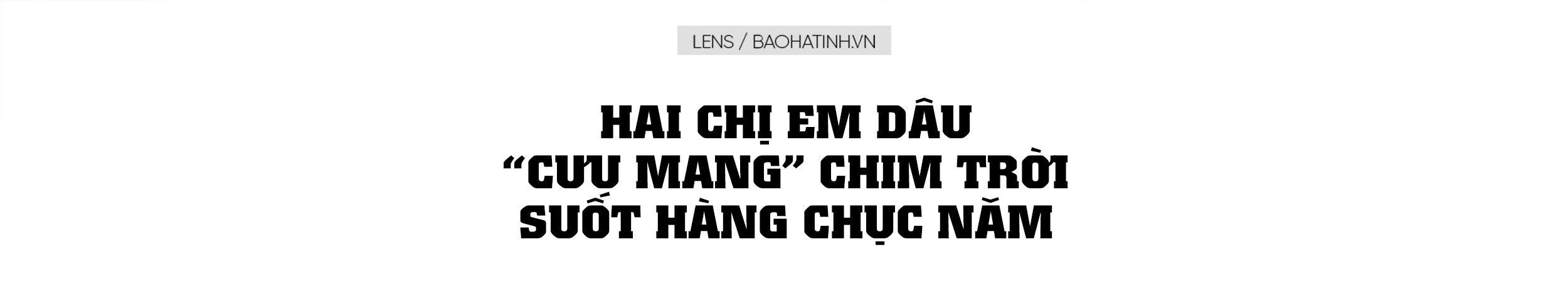 Hai chị em dâu “cưu mang” chim trời suốt hàng chục năm