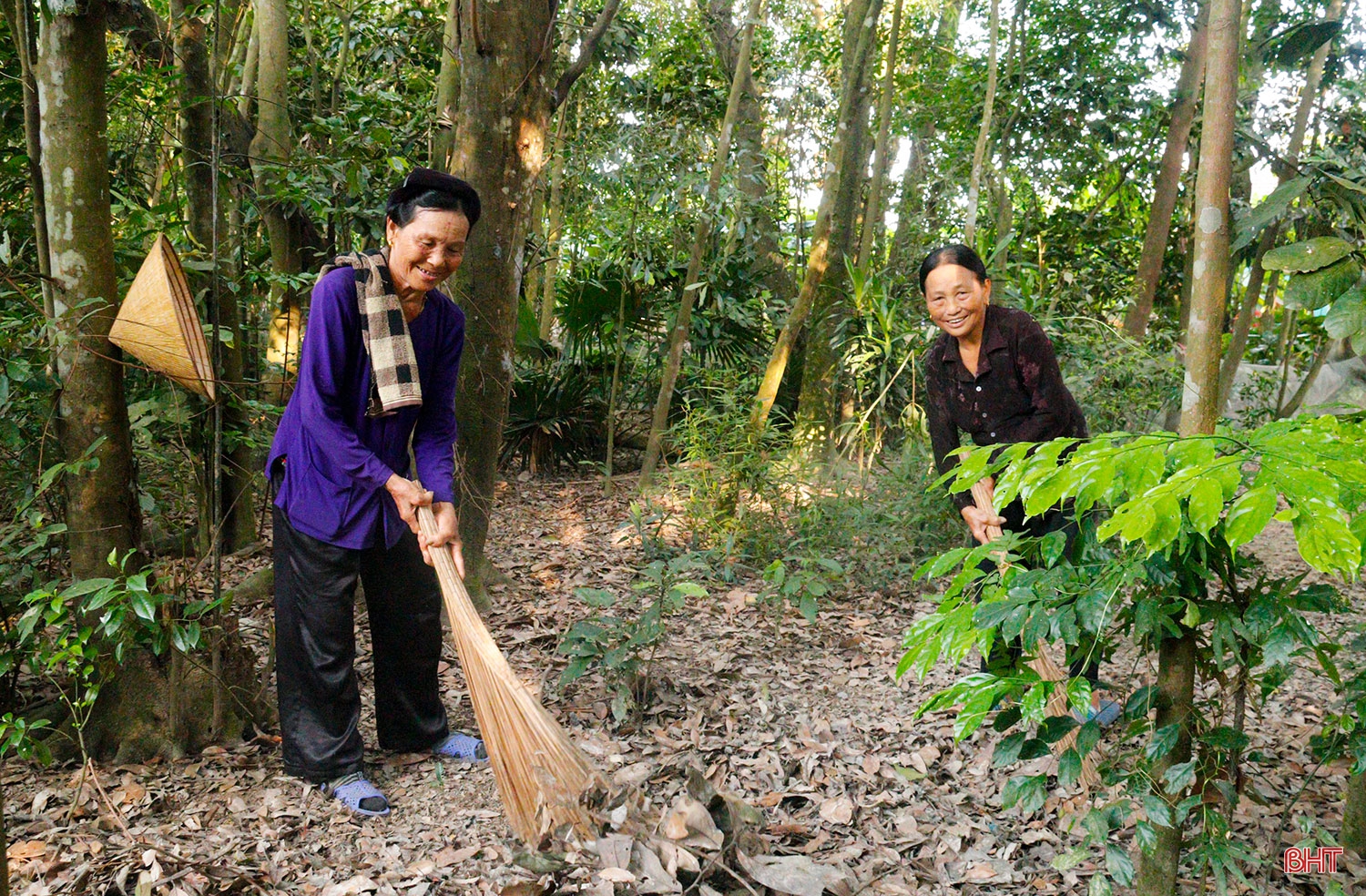 Hai chị em dâu “cưu mang” chim trời suốt hàng chục năm