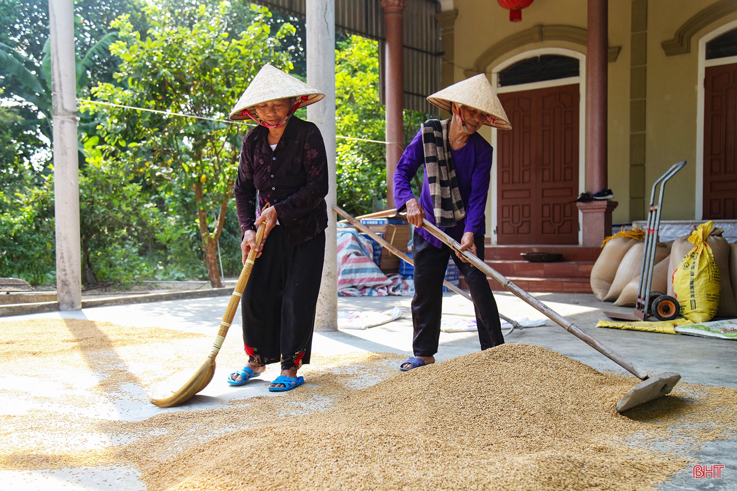 Hai chị em dâu “cưu mang” chim trời suốt hàng chục năm