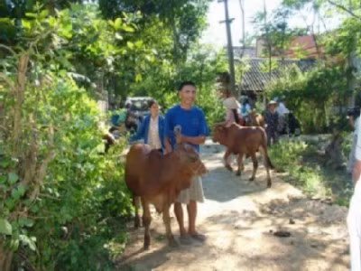 Ý thức của người chăn nuôi luôn đóng vai trò quan trọng trong công tác tiêm vắc xin phòng ngừa dịch bệnh