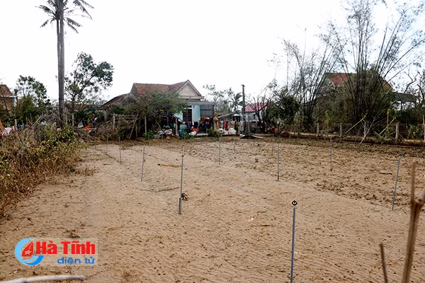 khu dan cu kieu mau vuon mau tanh banh sau bao