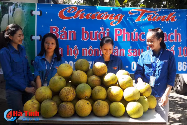 gioi tre mo diem ban buoi phuc trach giup dan sau bao