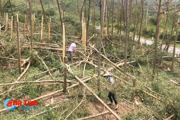 bao thoi bay gan 400 ty dong nguoi trong rung ky anh lao dao