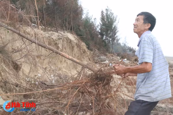 video rung phi lao chan cat o loc ha nguy co bi xoa so sau bao