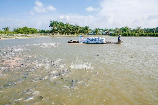 phan dau den 2020 gia tri xuat khau thuy san dat 8 9 ty usd