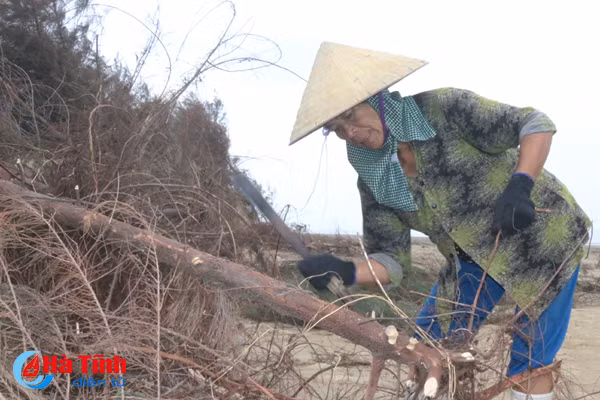 video rung phi lao chan cat o loc ha nguy co bi xoa so sau bao