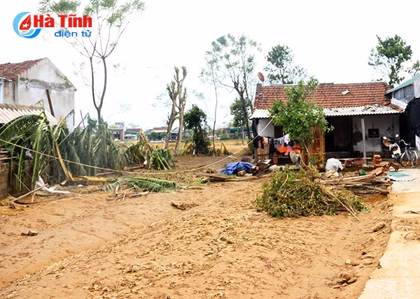 khu dan cu kieu mau vuon mau tanh banh sau bao