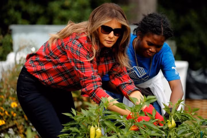 hinh anh de nhat phu nhan melania trump trong rau trong vuon nha trang