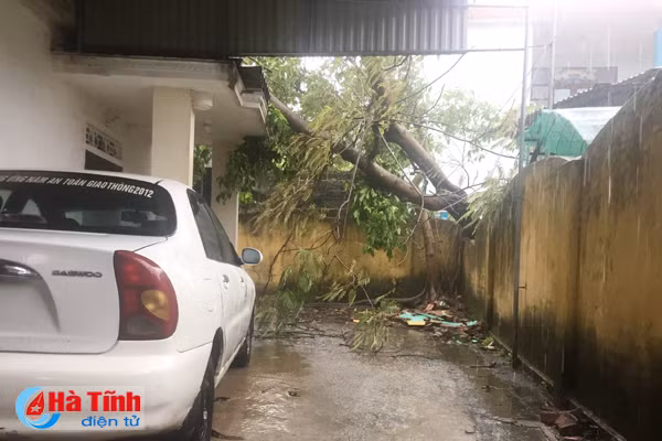 video ha tinh gio van vu mua ngut troi truoc gio bao do