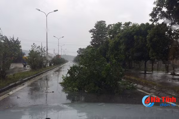 video ha tinh gio van vu mua ngut troi truoc gio bao do
