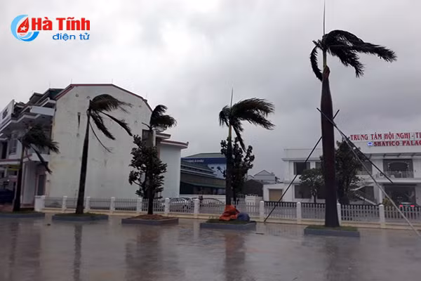 video ha tinh gio van vu mua ngut troi truoc gio bao do