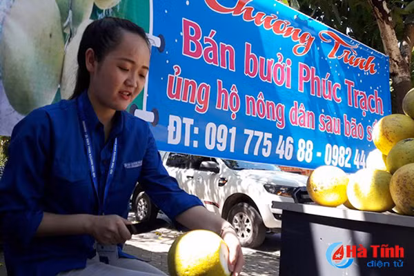gioi tre mo diem ban buoi phuc trach giup dan sau bao