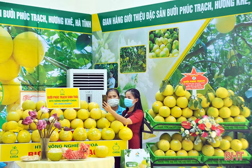 Bảo hộ sở hữu trí tuệ để sản phẩm OCOP Hà Tĩnh vươn xa
