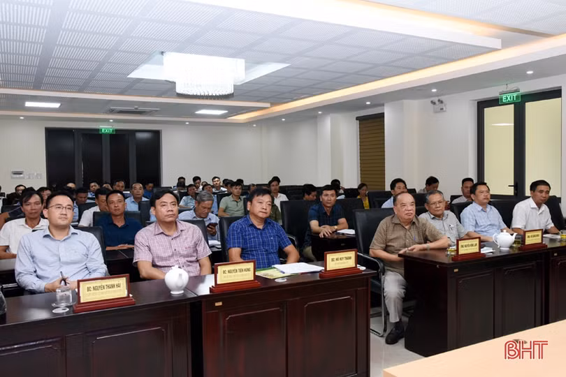 Doanh nghiệp Quế Lâm hợp tác với huyện Kỳ Anh sản xuất, tiêu thụ sản phẩm nông nghiệp hữu cơ