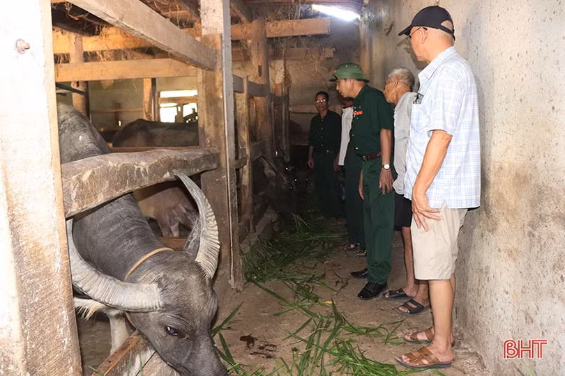 Cựu thanh niên xung phong giỏi làm kinh tế, chăm lo việc hội