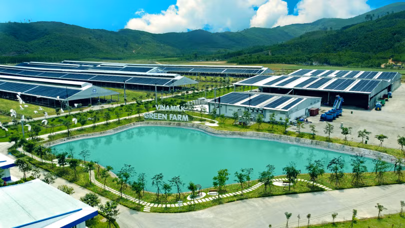 Nhà đầu tư Việt hiểu ESG đến đâu?