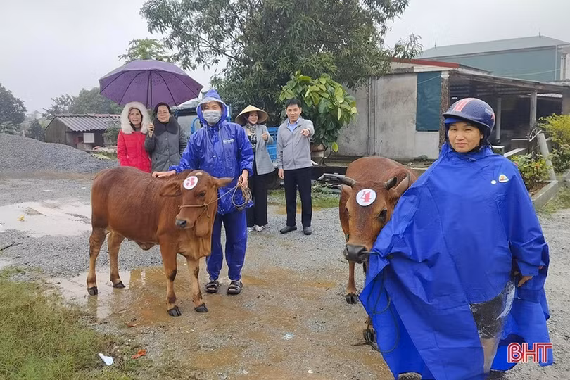 Trao 735 triệu đồng hỗ trợ mô hình sinh kế cho hội viên phụ nữ nghèo