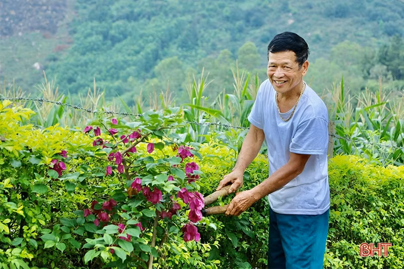 Xây dựng Đảng vững mạnh, tạo sức bật để Vũ Quang phát triển