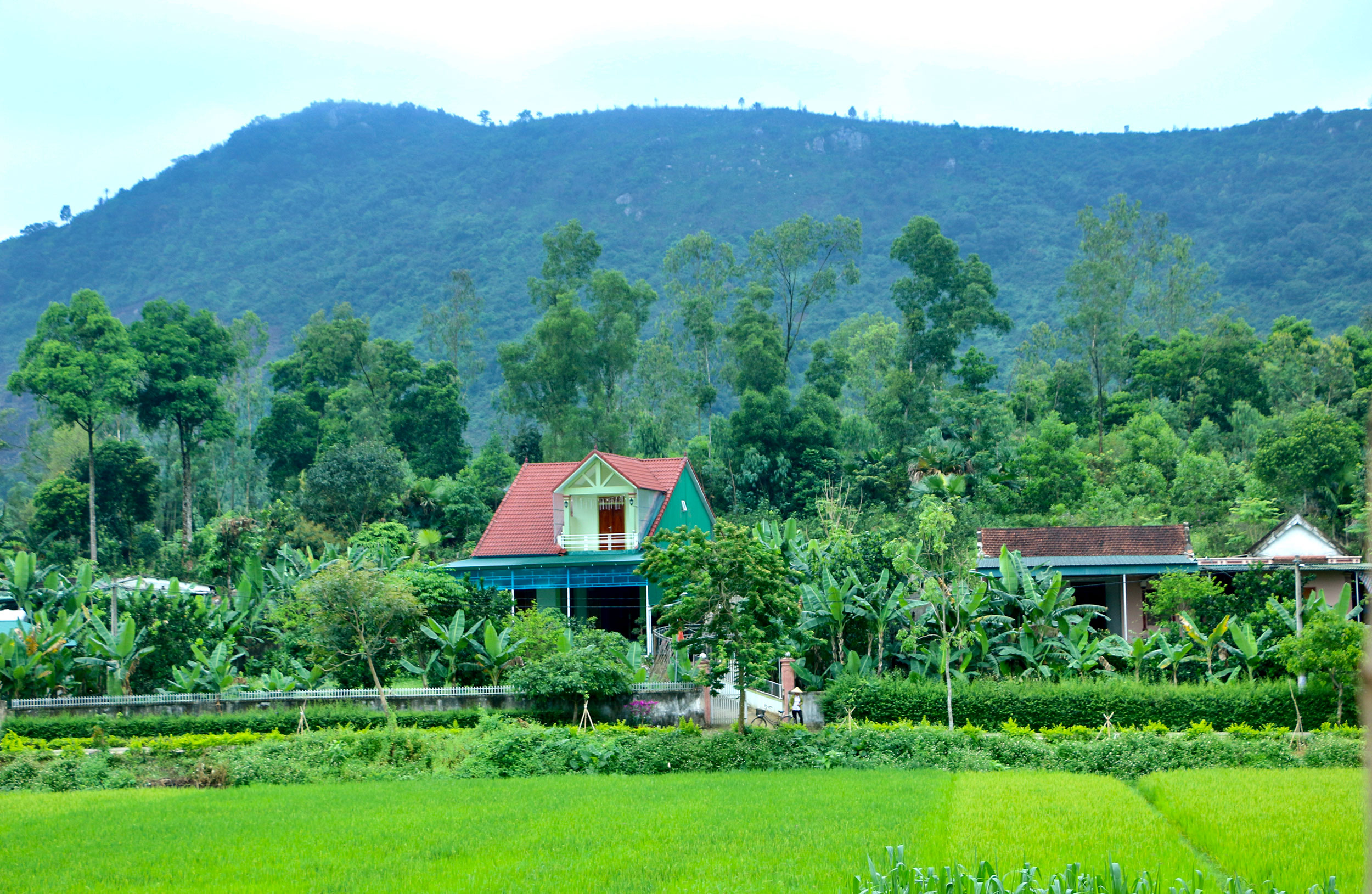 Người phụ nữ miền sơn cước Hà Tĩnh gần 20 năm “gánh” việc làng