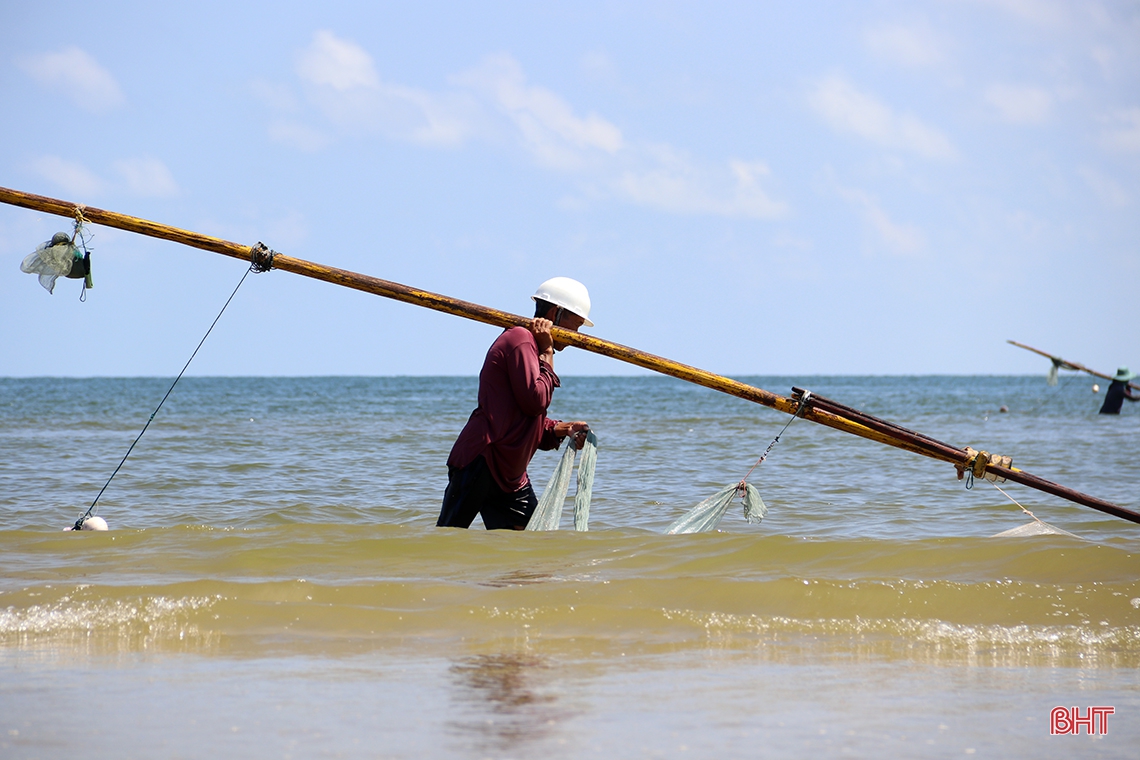 Ngư dân phía Nam Hà Tĩnh được mùa cá cơm, ruốc biển