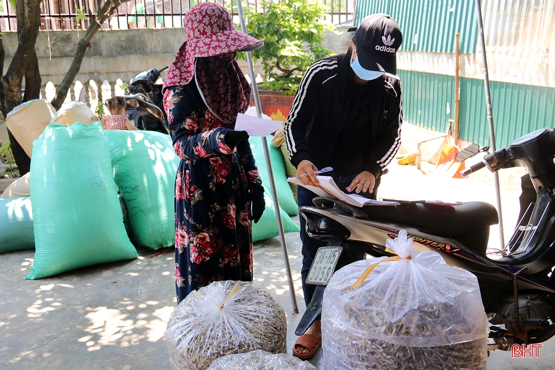 Ngư dân phía Nam Hà Tĩnh được mùa cá cơm, ruốc biển