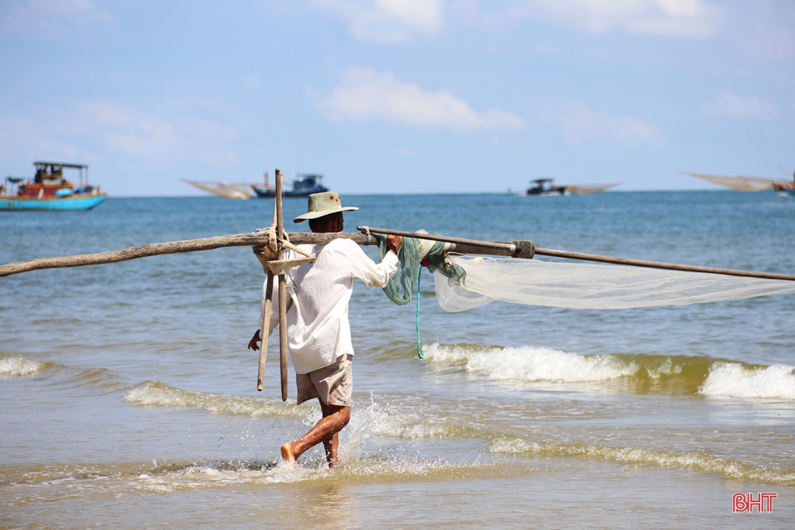 Ngư dân phía Nam Hà Tĩnh được mùa cá cơm, ruốc biển