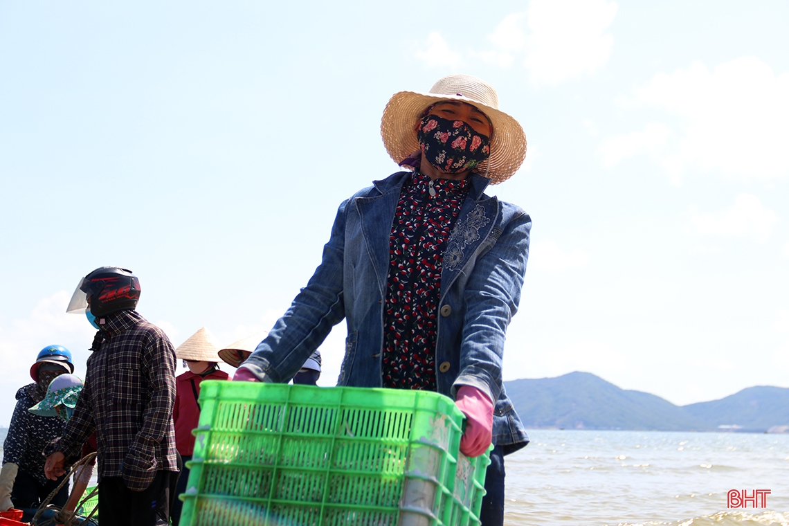 Ngư dân phía Nam Hà Tĩnh được mùa cá cơm, ruốc biển